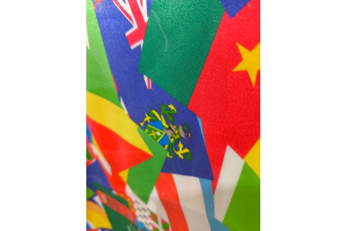 Steag SATEN - Protocol Print Digital