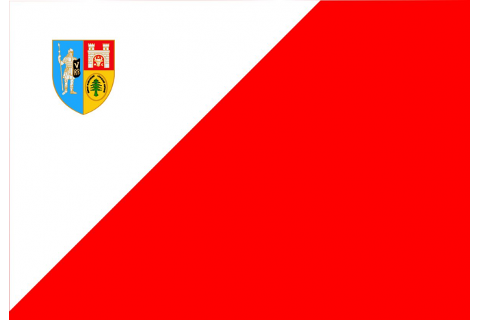 Steag 110g/mp Print Digital