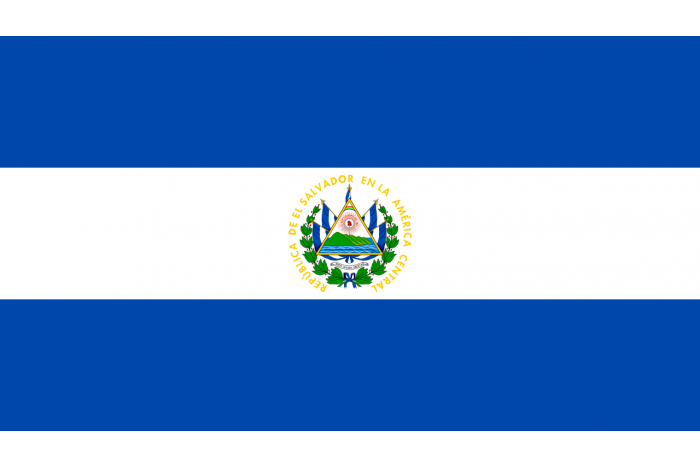 Steag El Salvador