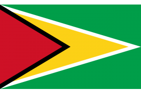 Steag Guyana