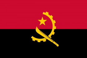 Steag Angola