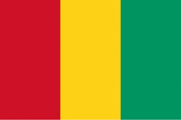 Steag Guineea